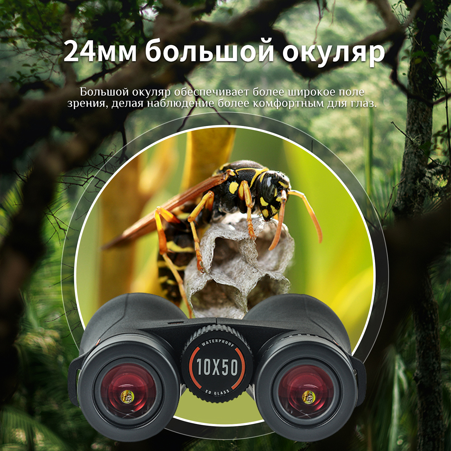 Бинокль Eyeskey Wave ED-12x50