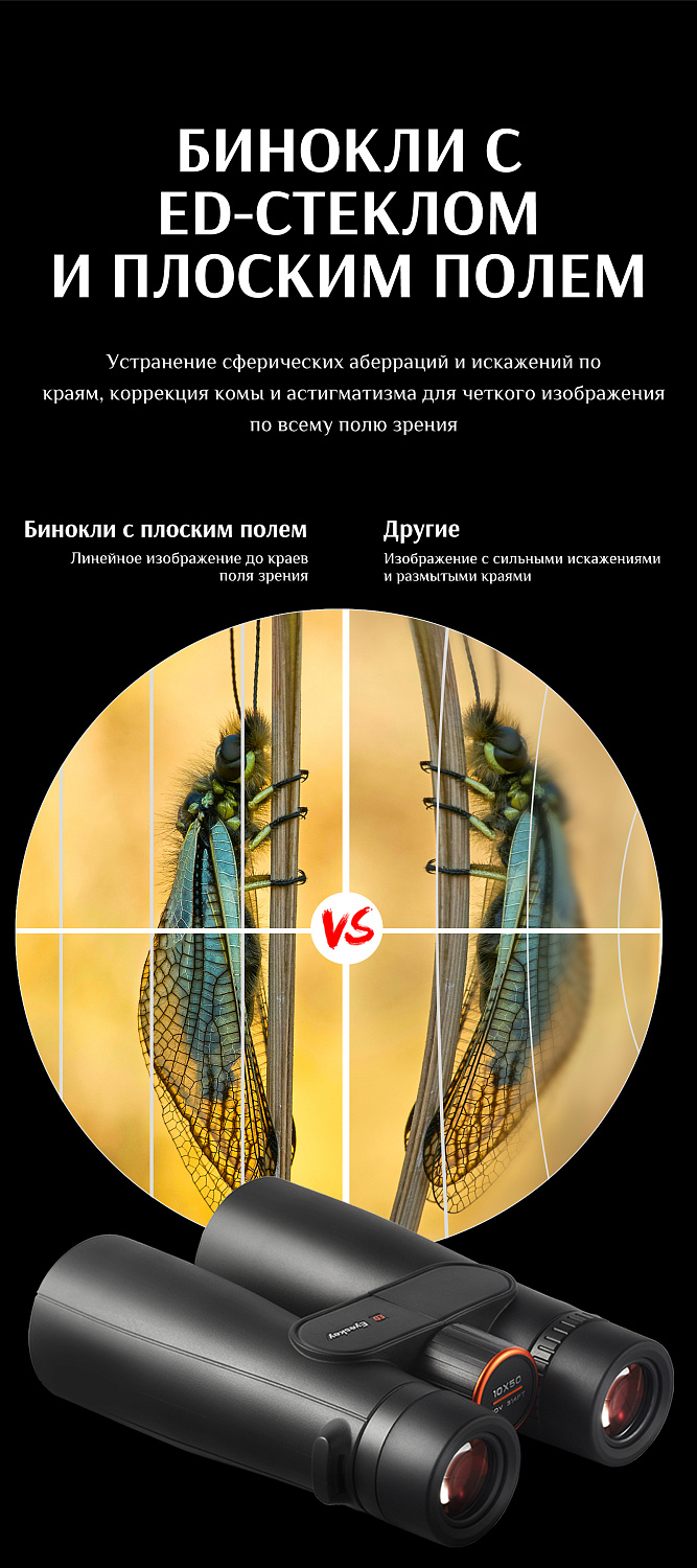 Бинокль Eyeskey Sport ED-10x50