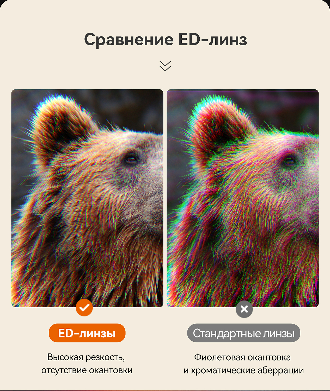 Бинокль Eyeskey Vigil - 10x42